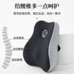 Cushion Lumbar Support Cushion with Hole