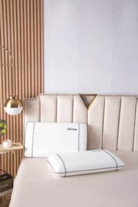 Adult Memory Foam Pillow