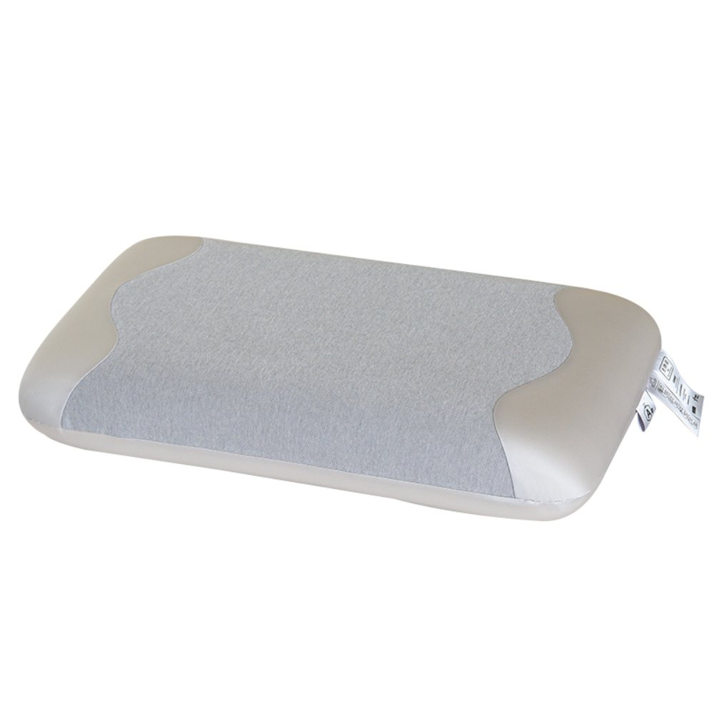 Bio-based pillow Premium Bio-Based Pillow